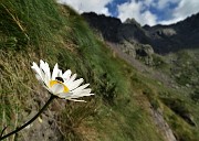 Anello Laghi con Cima di Ponteranica centrale-Lago di Pescegallo da Ca’ San Marco il 15 agosto 2020- FOTOGALLERY